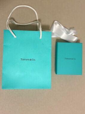 Tiffany & Co. Robin's Egg Blue Gift Bag with Matching Box